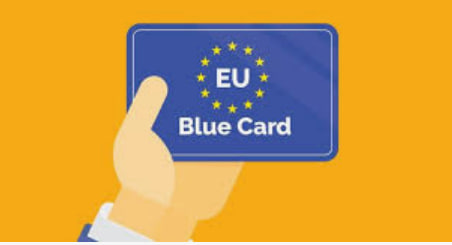 Що таке Blue Card і як її отримати в Польщі? - consultant.net.pl