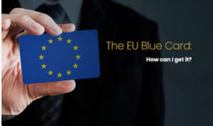 How to apply for a Blue Card in Poland: lawyer's consultation - consultant.net.pl