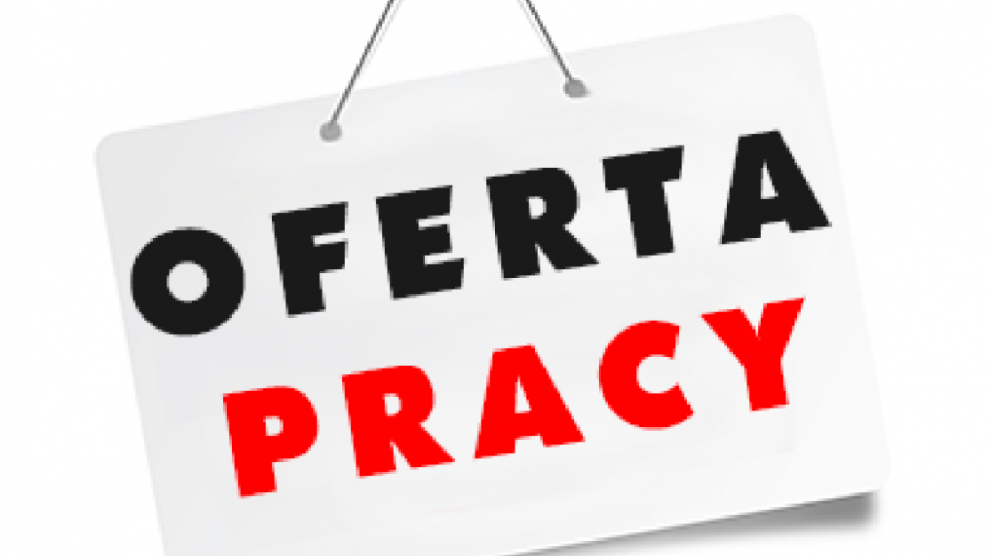 Odmowa zezwolenia na pracę: co robić: pomoc prawna - consultant.net.pl