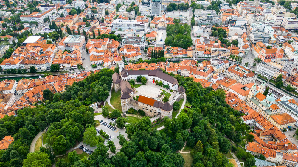 ДК How to get a permanent residence permit based on a Pole's card in Poland? - consultant.net.pl