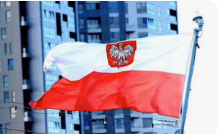 What to do if there are problems with the visa of a foreign business representative in Poland - consultant.net.pl