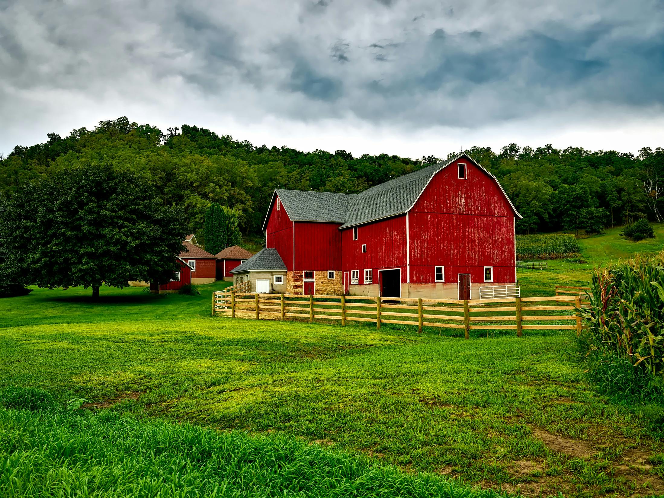 How to register an agricultural enterprise in Poland? - consultant.net.pl