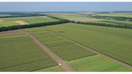 Renting a land plot in Poland: rules for foreigners - consultant.net.pl