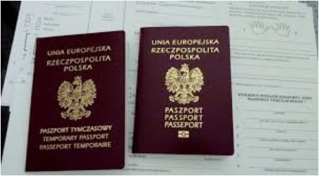 7 Common Mistakes When Applying for Naturalization in Poland: Legal Analysis Service - consultant.net.pl