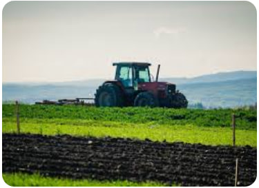 Rules for conducting agricultural activities in Poland for Ukrainians - consultant.net.pl