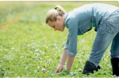 Obtaining a work permit for seasonal workers in Poland: procedure and legal support - consultant.net.pl