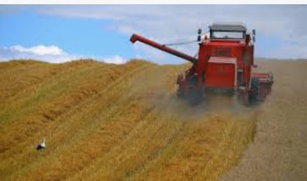 Legal aspects of conducting agricultural activities as an individual entrepreneur in Poland - consultant.net.pl