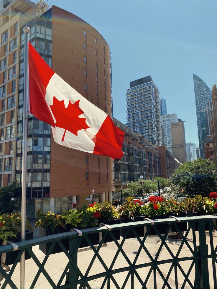 Legal analysis of the situation with starting a business in Canada for Ukrainians - consultant.net.pl