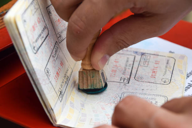 ДК Віза для міжнародних дослідників у Польщі: ключові кроки - consultant.net.pl