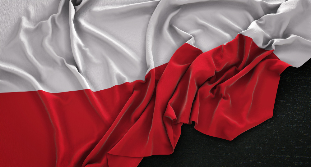 Doprowadzenie do pozytywnego rozstrzygnięcia sprawy o pobicie po bezczynności poprzedniego pełnomocnika - consultant.net.pl