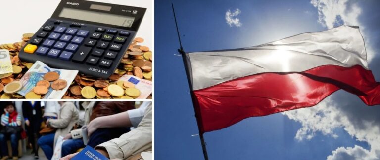 Jak zarejestrować jednoosobową działalność gospodarczą w Polsce: od wniosku do pierwszego klienta - consultant.net.pl