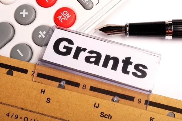 Uzyskanie grantu na rozwój biznesu w Polsce: kompleksowe wsparcie udziału w programie finansowania publicznego - consultant.net.pl
