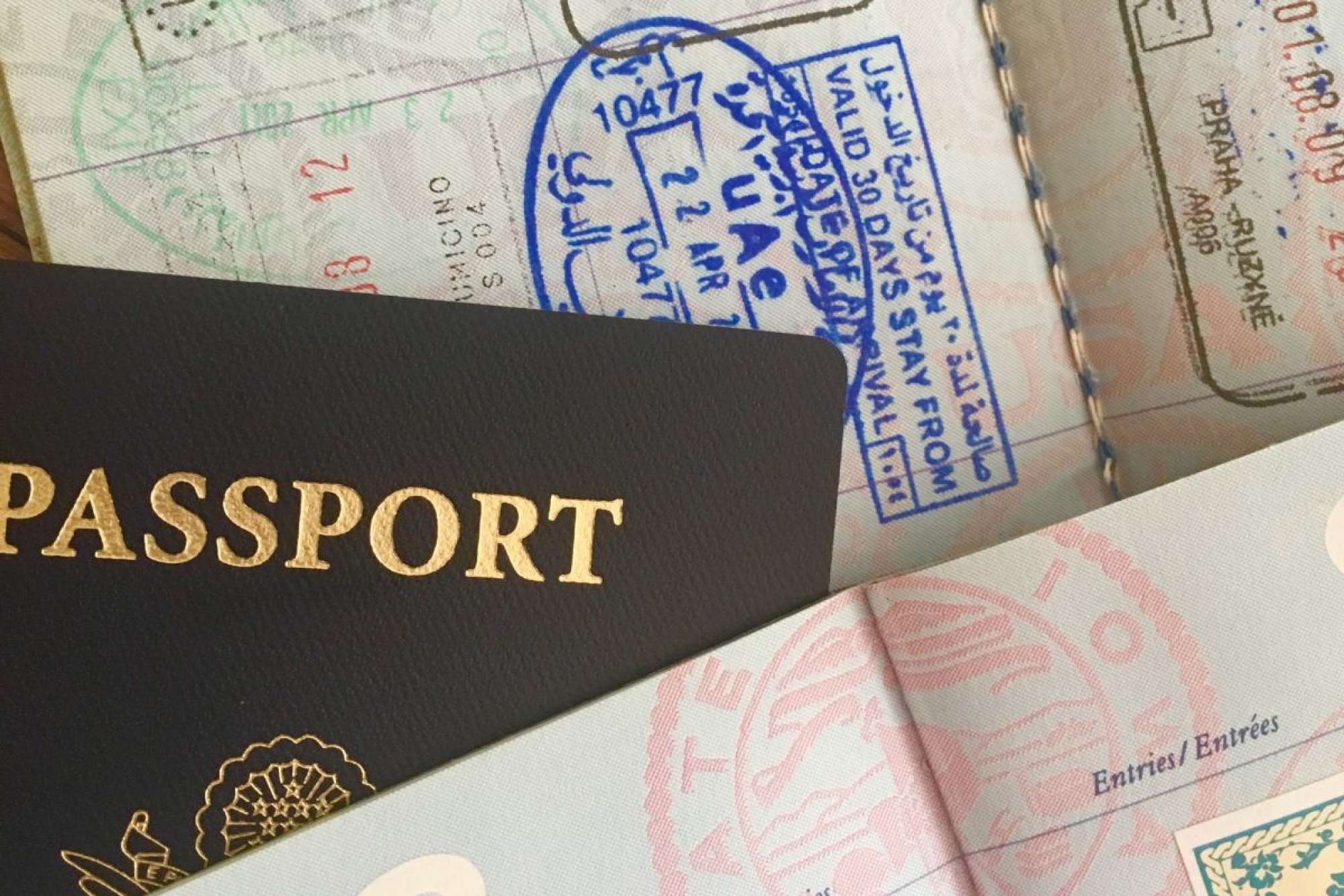 ДК Visa for participants in international projects: how to prepare an application in Poland - consultant.net.pl