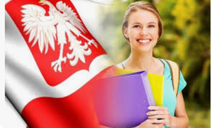 What to do for graduates of Polish universities to obtain a visa - consultant.net.pl