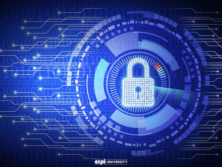 Jak rozpocząć działalność doradczą w zakresie cyberbezpieczeństwa w Polsce: niuanse prawne - consultant.net.pl