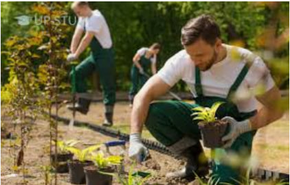 Процедура найму сезонних працівників для ІП у Польщі - consultant.net.pl