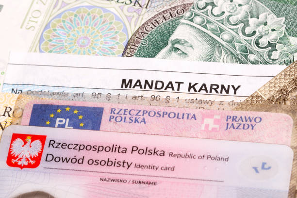 Как обжаловать штраф в Польше: полная инструкция для украинцев - consultant.net.pl