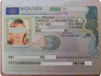 Jak uzyskać wizę dla pracowników sezonowych w Polsce: usługa konsultacja z prawnikiem - consultant.net.pl