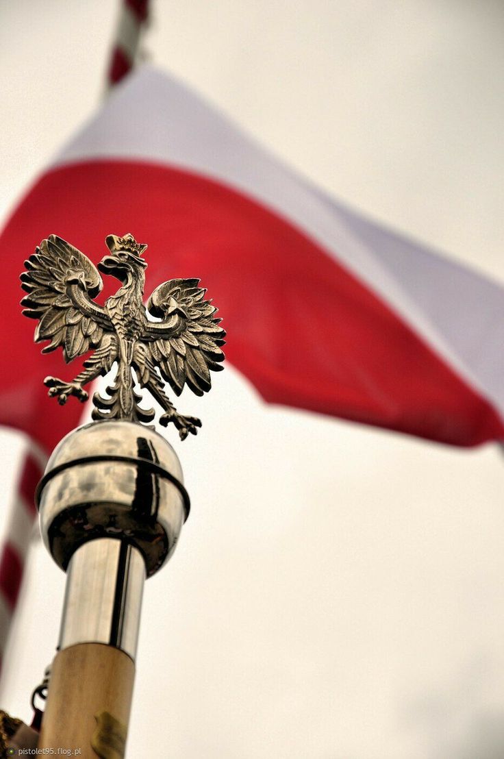 ДК Супровід у отриманні ВНЖ у Польщі: допомога адвоката - consultant.net.pl