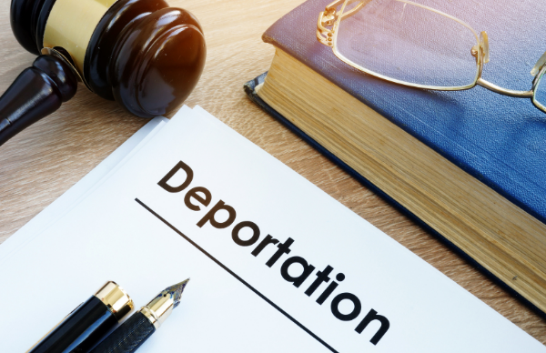 How to appeal against deportation from Poland: legal advice - consultant.net.pl